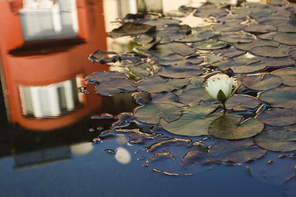 Szonyi Garden Hotel Pest Budapest Eksteriør bilde