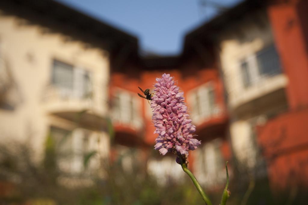 Szonyi Garden Hotel Pest Budapest Eksteriør bilde